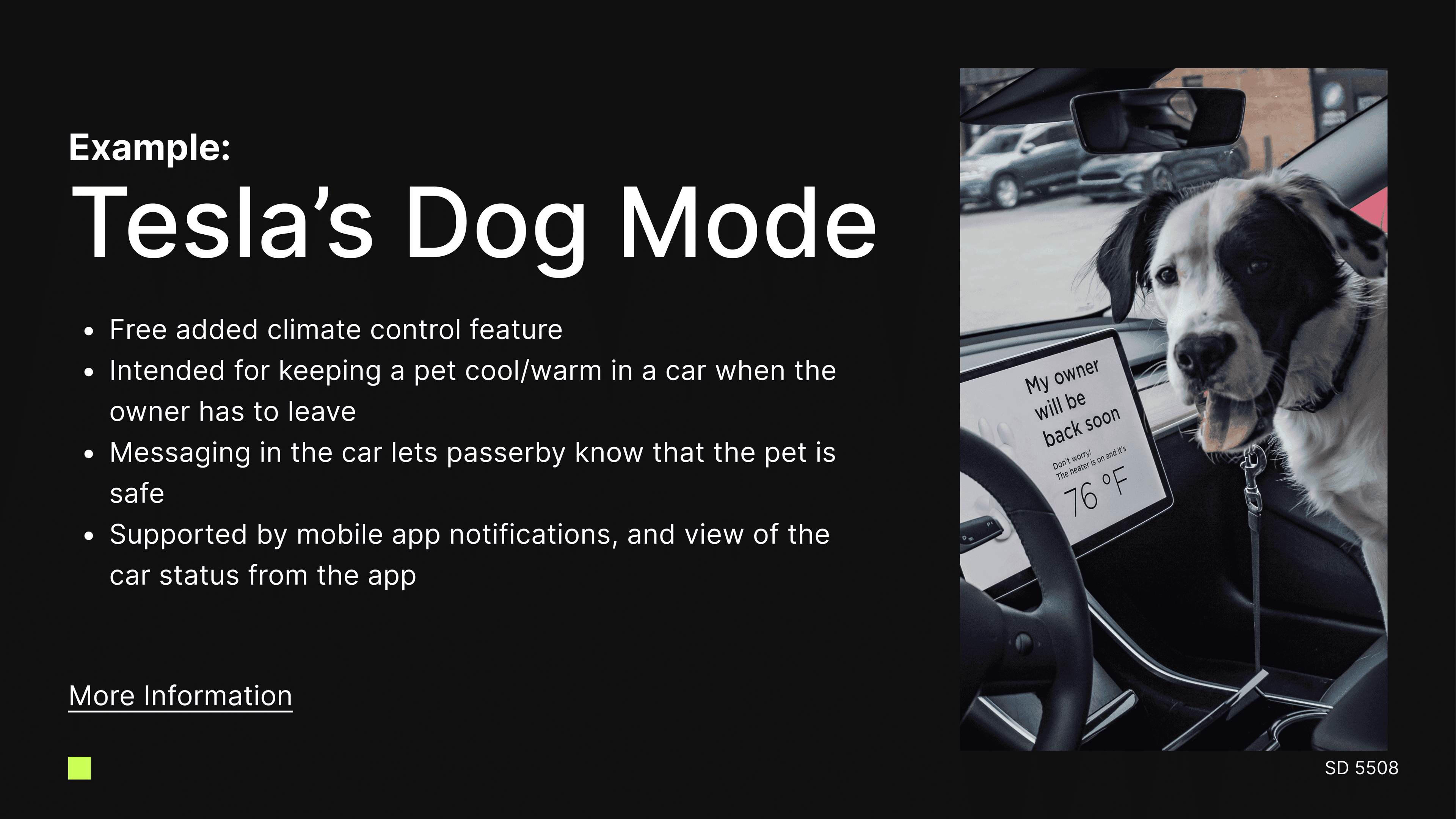 dog mode slide